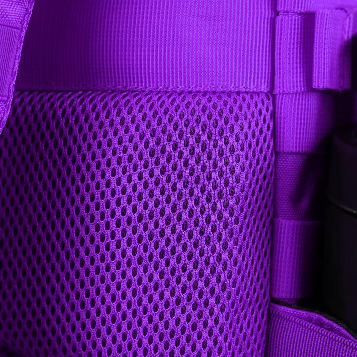 Gympack Pro 50L Lila